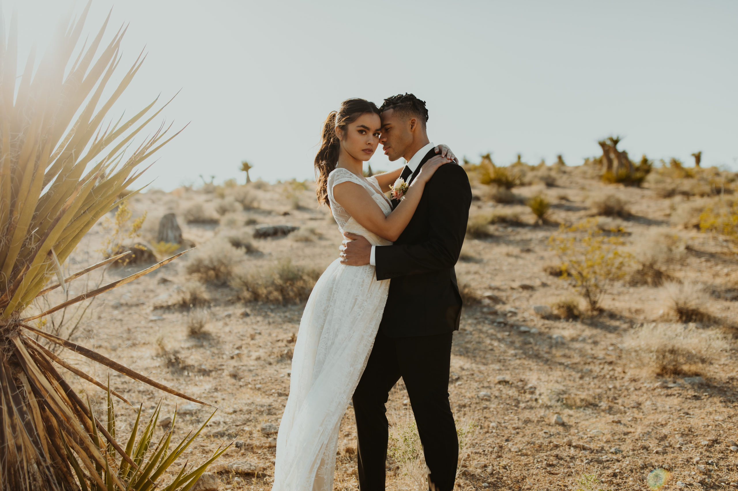 Desert elopement couple with plants in the corner of the landscape