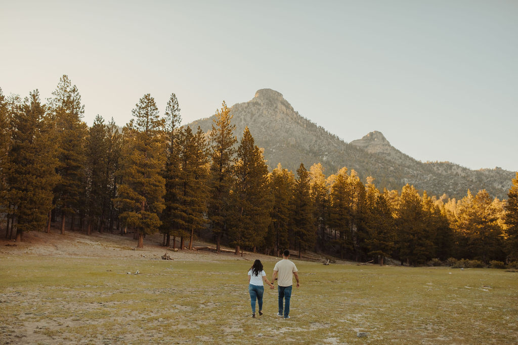 couple walking away from the camera in a field at mt. charleston nevada