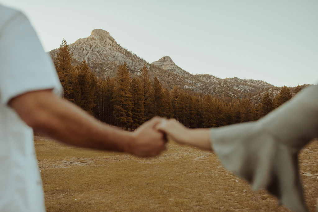 blurred couple holding hands with mt. charleston in focus in the background