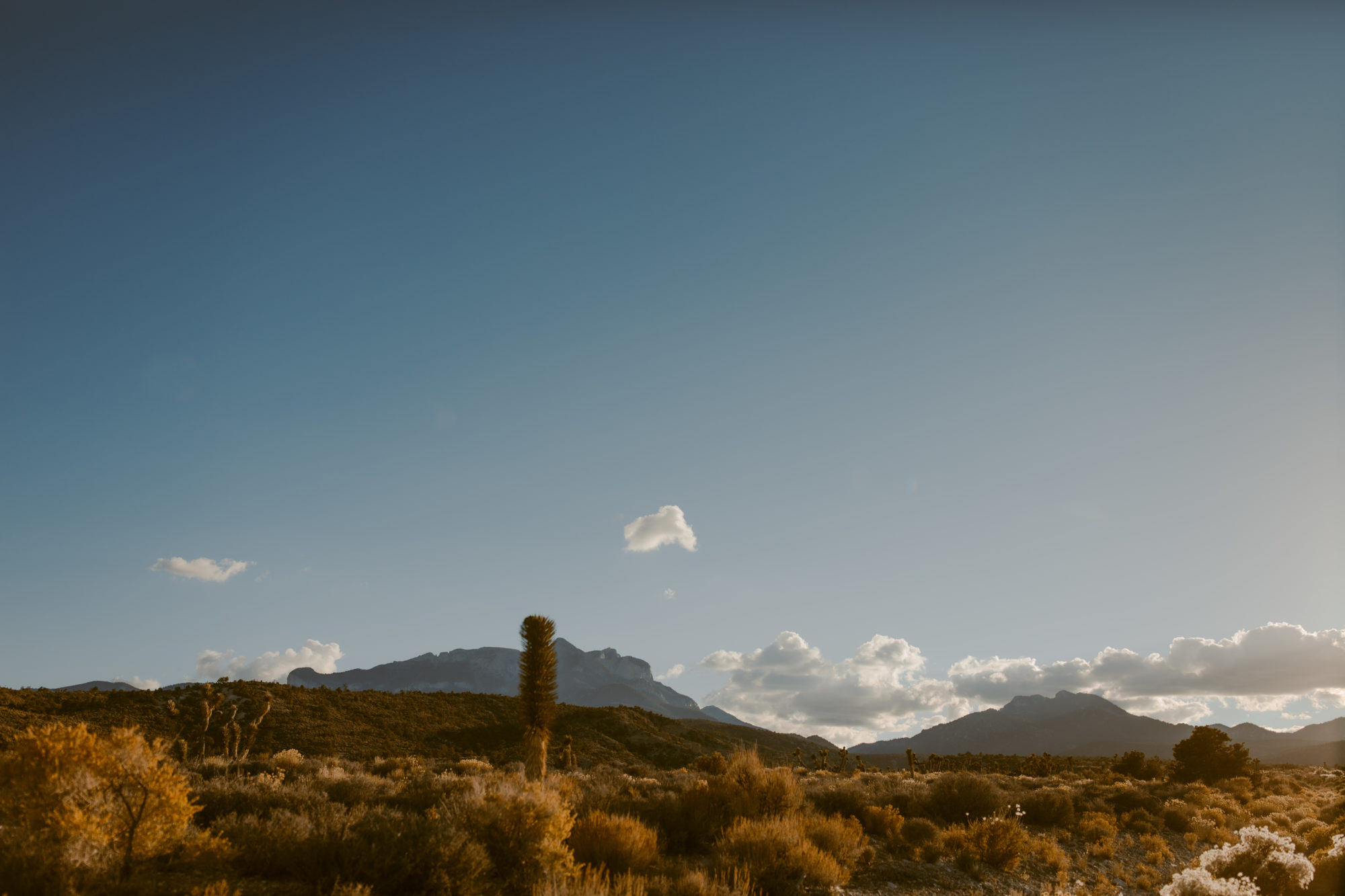 Photograph of desert landscape 