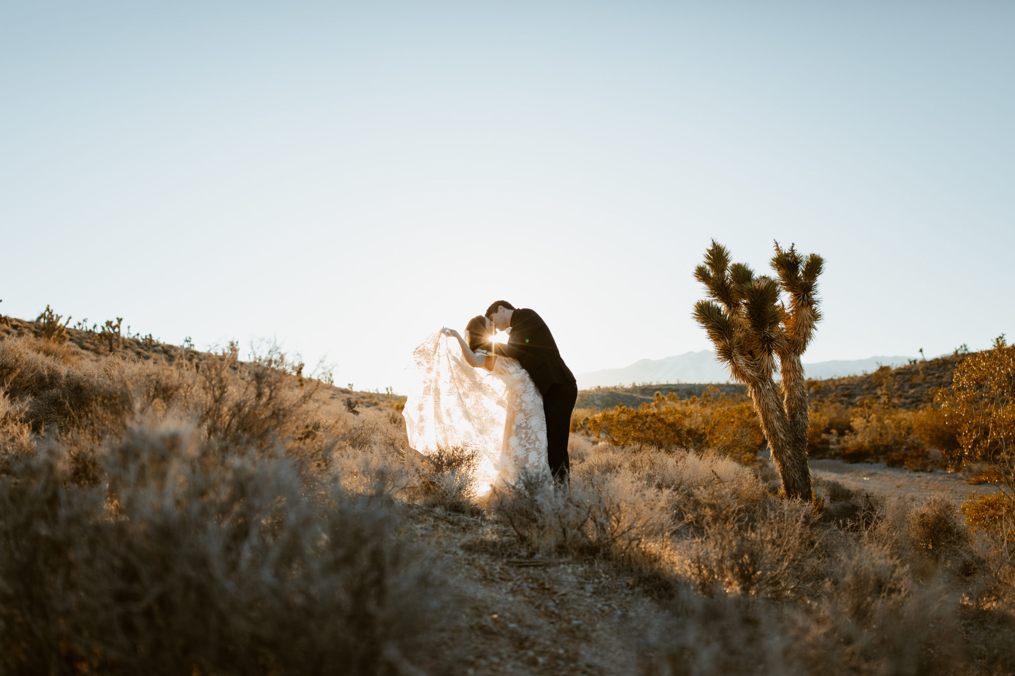 Bride and groom portraits and elopement photography in the Mojave Desert