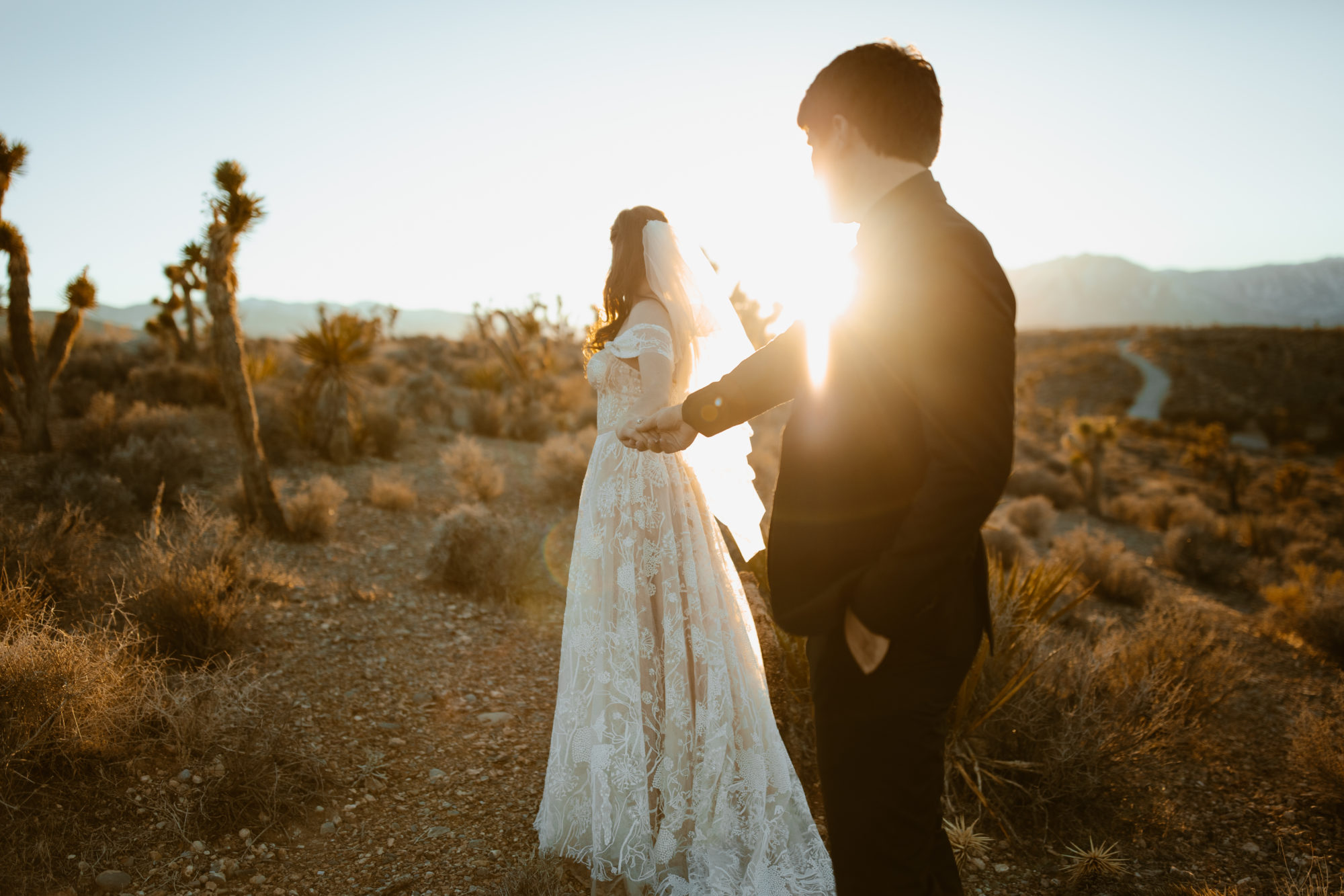 Bride and groom portraits in the Mojave desert in Nevada