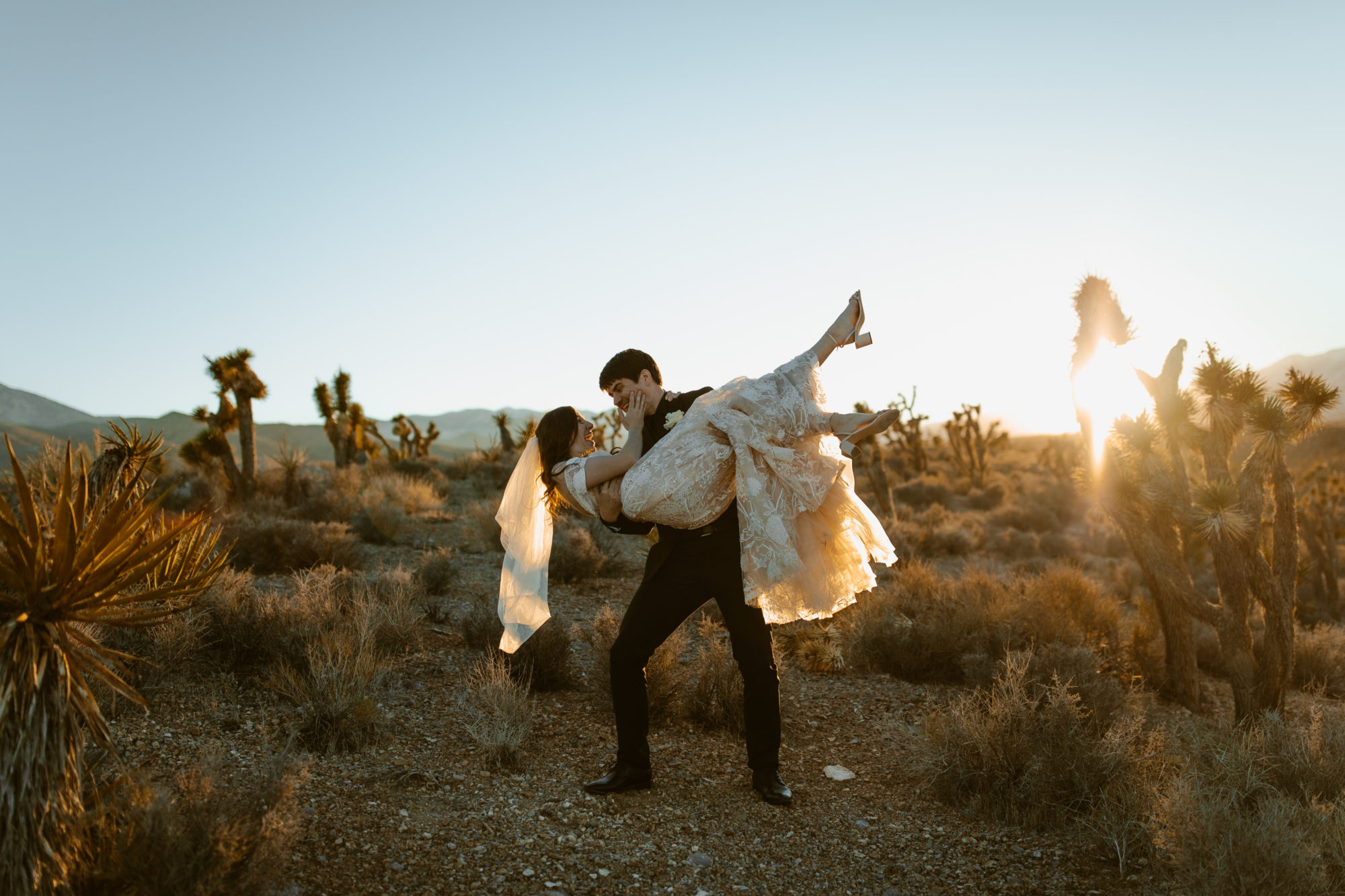 Bride and groom portraits in the Mojave desert in Nevada