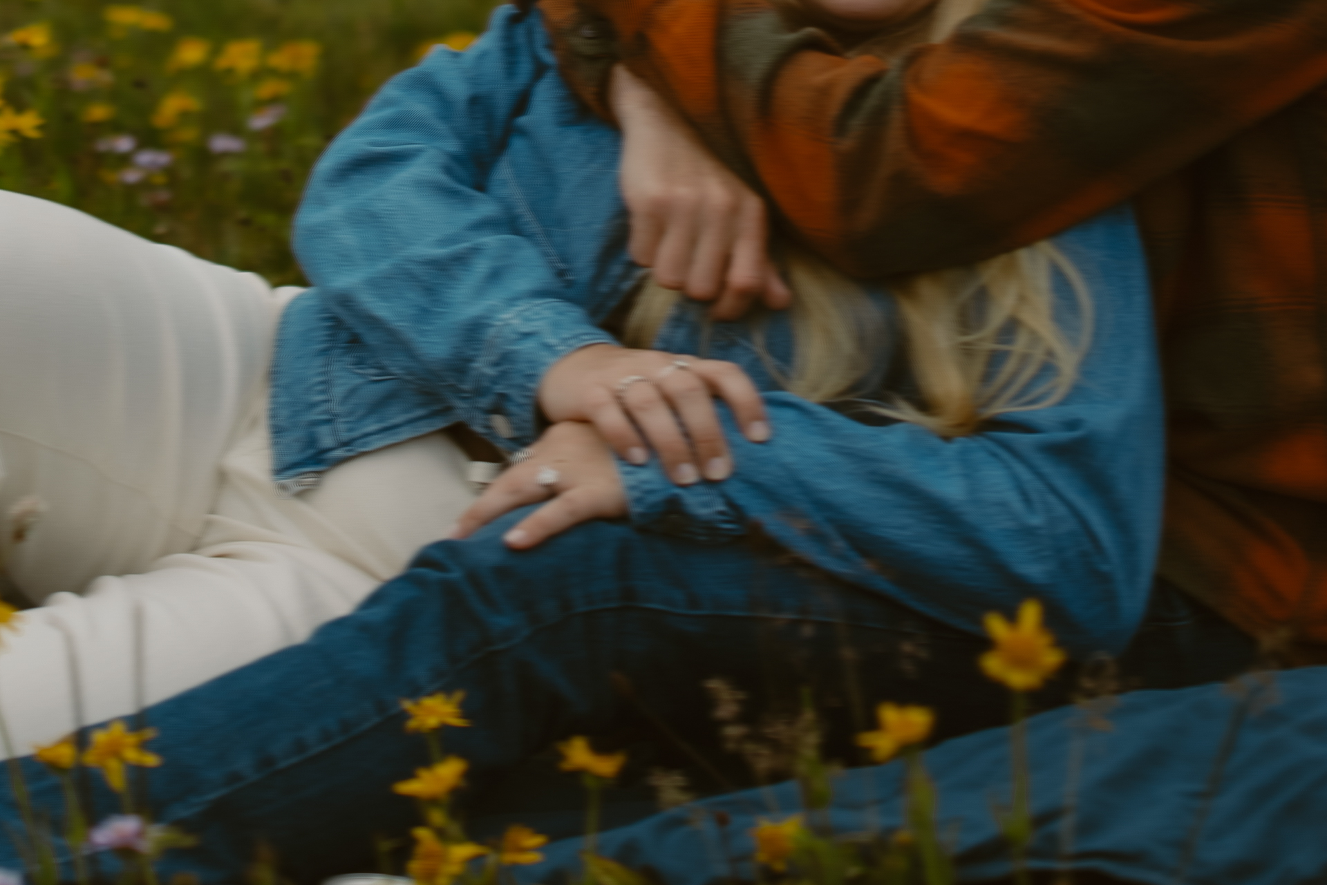 Colorado Wildflower Engagement Session
