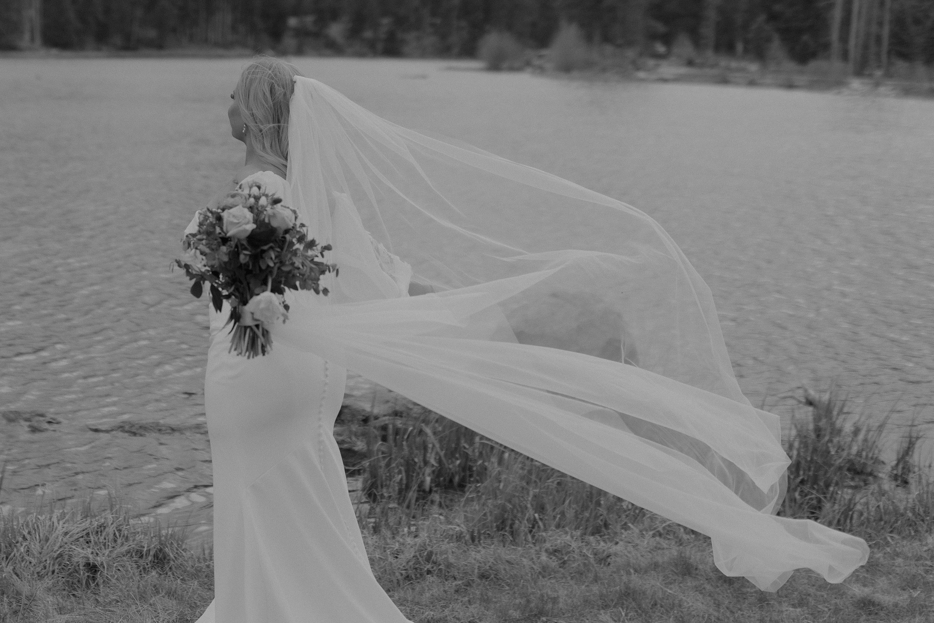 Rocky Mountain National Park Elopement Photographer