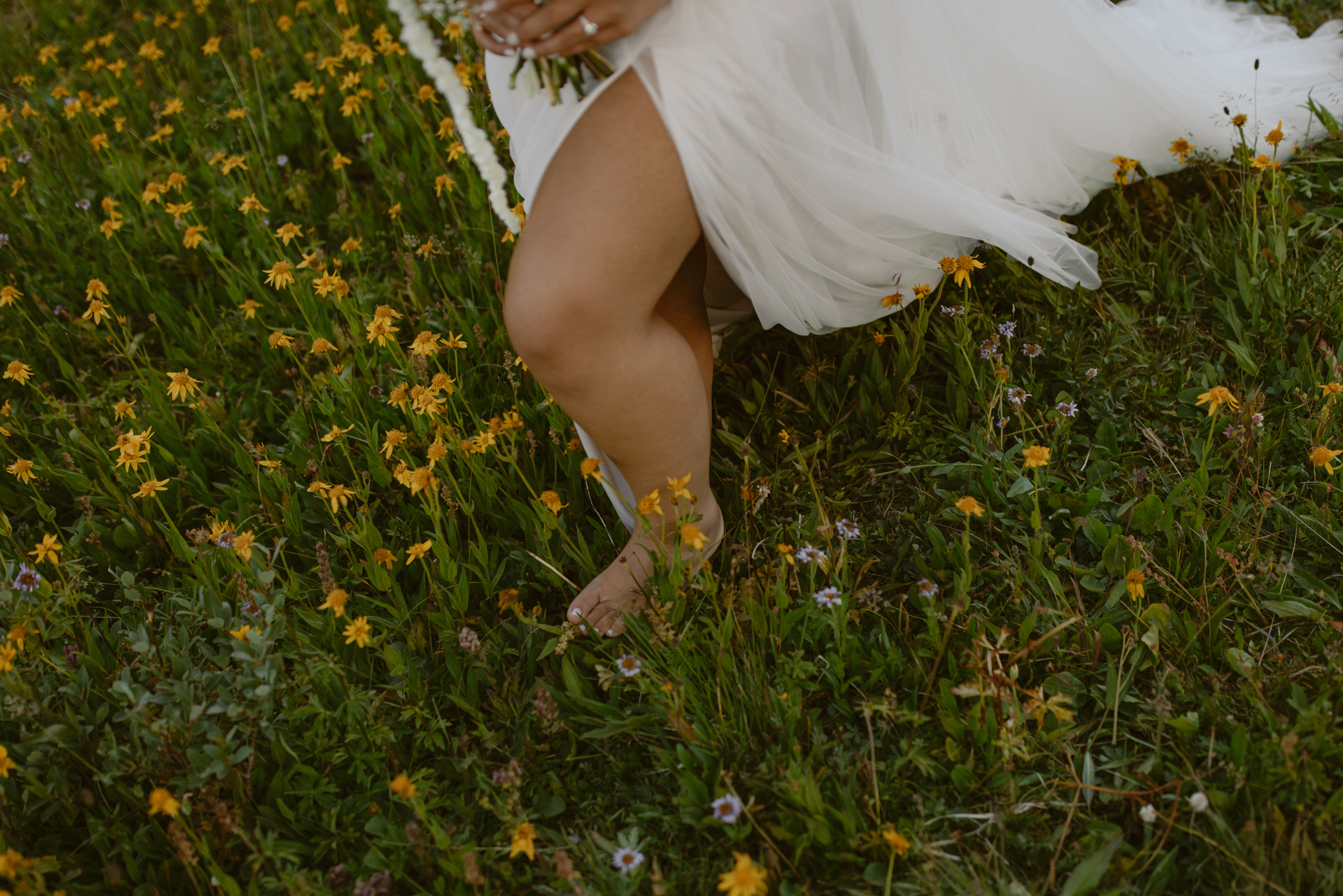 Best Places to Elope with Wildflowers in Colorado (Peak Bloom Guide + Expert Tips)